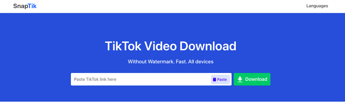 SnapTik Video Downloader